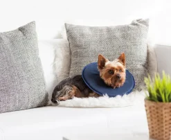 Dehner Lieblinge Leckschutzkragen für Hunde & Katzen Dunkelblau Sale
