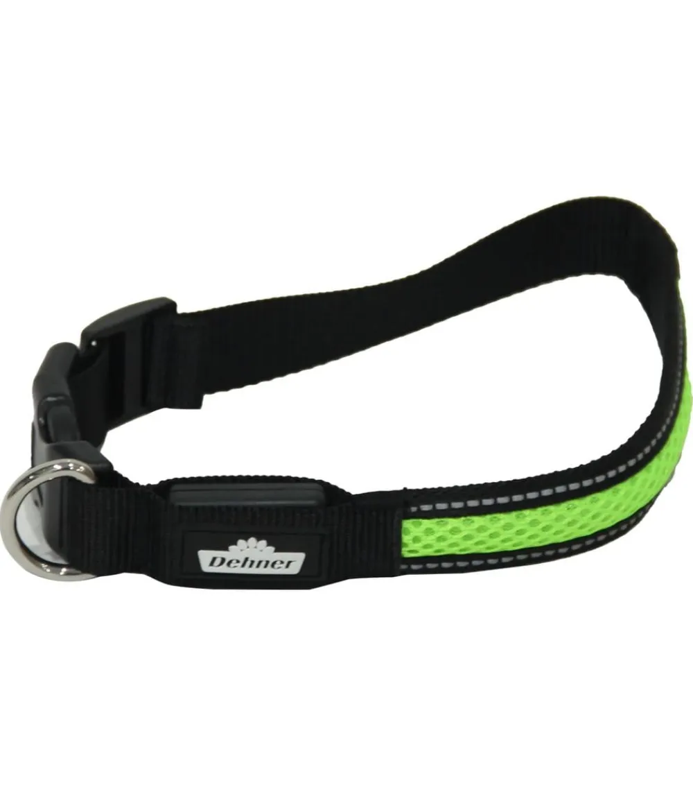 Dehner Lieblinge Hundehalsbänder & Geschirre > LED-Hundehalsband Flash Collar, grün
