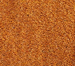 Dehner Lieblinge Marokkohirse, 1 kg
