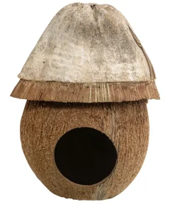 Dehner Lieblinge Terrarium Zubehör|Mehr Kleintierbedarf - Nagerhaus Kokosnuss-Höhle Husk, ca. Ø14/H15 cm Braun