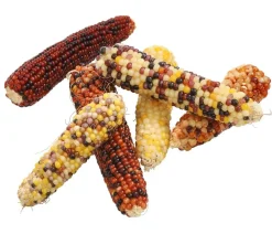 Dehner Lieblinge Vogelfutter & Snacks|Nagersnacks - Nagersnack Mini-Popcorn für Vögel und Nager, 170g