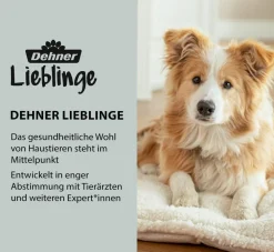 Dehner Lieblinge Betten & Kissen|Hundekissen > Orthopädiche Hundeatte onu, rechteckig, grau