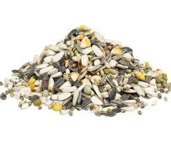 Dehner Lieblinge Vogelfutter & Snacks > Papageien-Futter