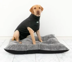 Dehner Lieblinge Mehr Hundezubehör|Hundepflege & Hygiene > Pot-OP-Body,