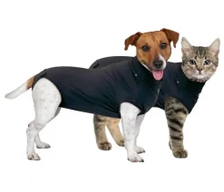 Dehner Lieblinge Mehr Hundezubehör|Hundepflege & Hygiene > Pot-OP-Body,