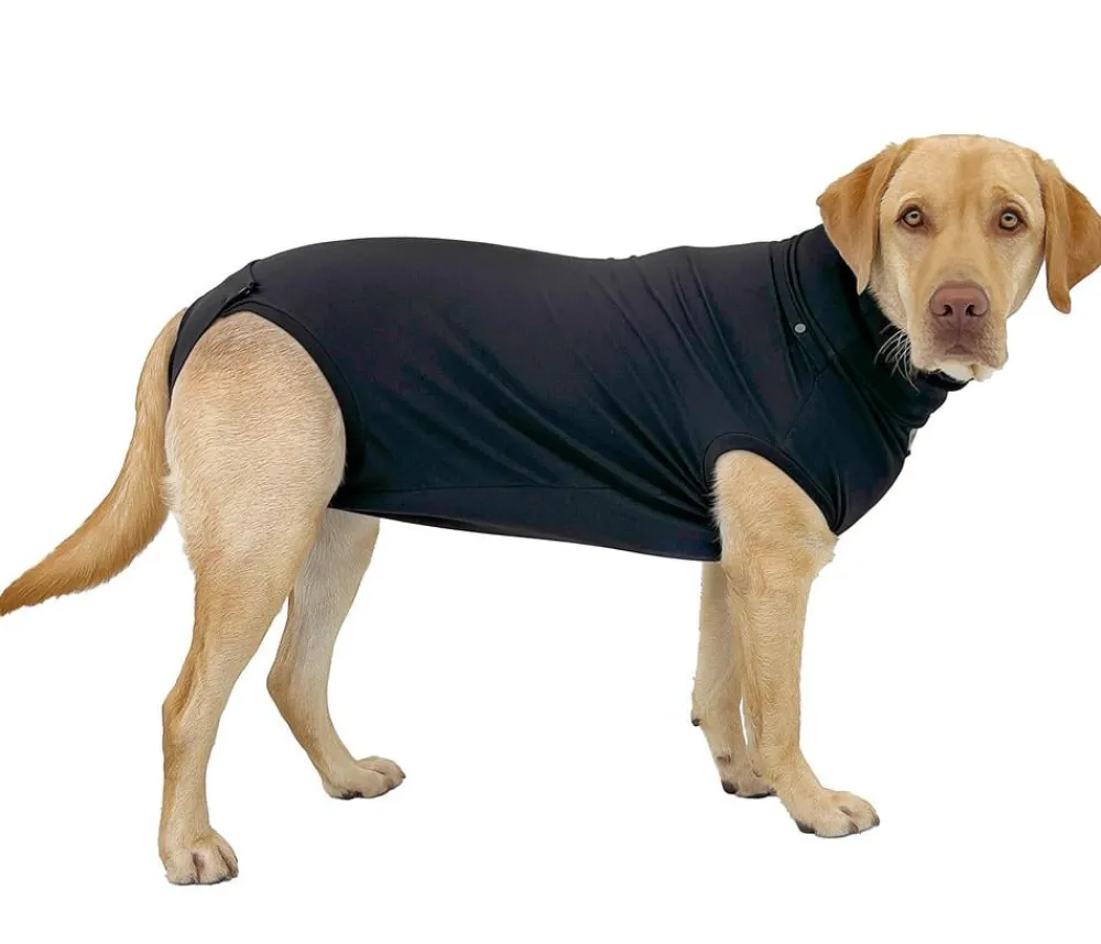 Dehner Lieblinge Mehr Hundezubehör|Hundepflege & Hygiene > Pot-OP-Body,