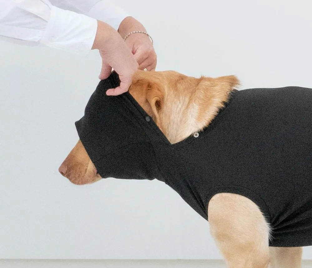 Dehner Lieblinge Pot-OP-Body, Schwarz Sale