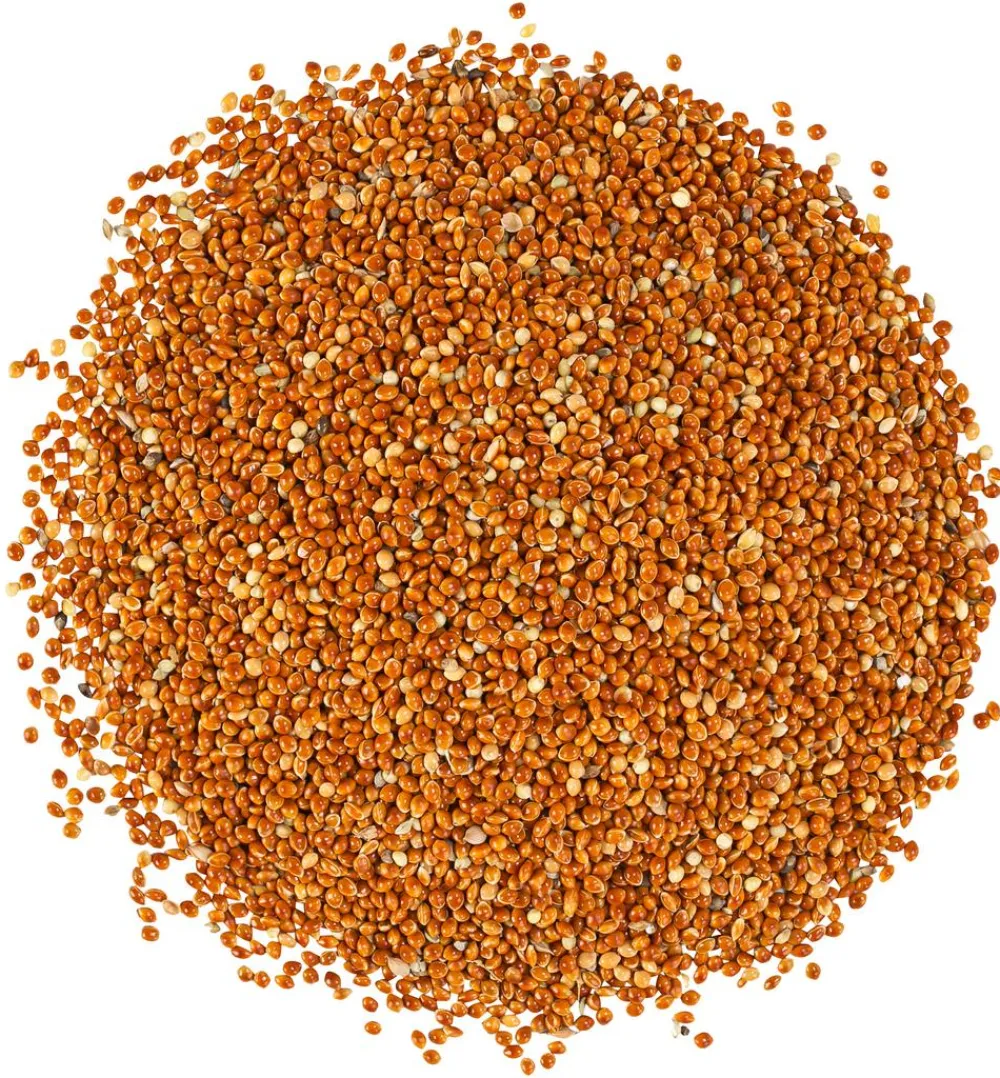 Dehner Lieblinge Kleintierfutter|Vogelfutter & Snacks > Rote Hirse, 1 kg
