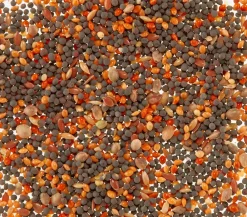 Dehner Lieblinge Singfutter für Kanarien, 20 g Discount
