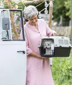 Dehner Lieblinge Mehr Katzenzubehör|Hundetransportboxen > Tranportbox Dino