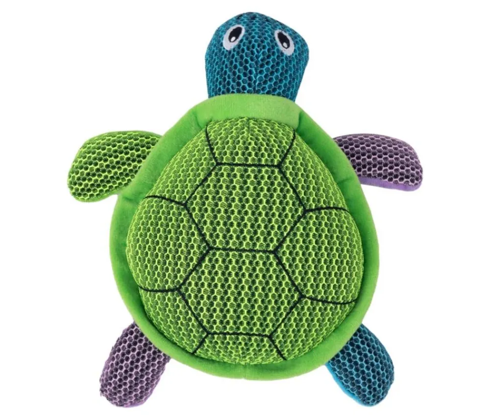 Dehner Lieblinge Wasserspielzeug Tartaruga, ca. B27/H8/T25 cm Grün Best