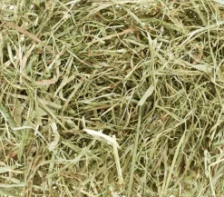 Dehner Lieblinge Stroh & Streu|Heu - Wiesenheu, 800 g