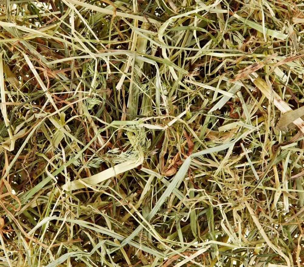 Dehner Lieblinge Heu > Wiesenheu, 3 kg
