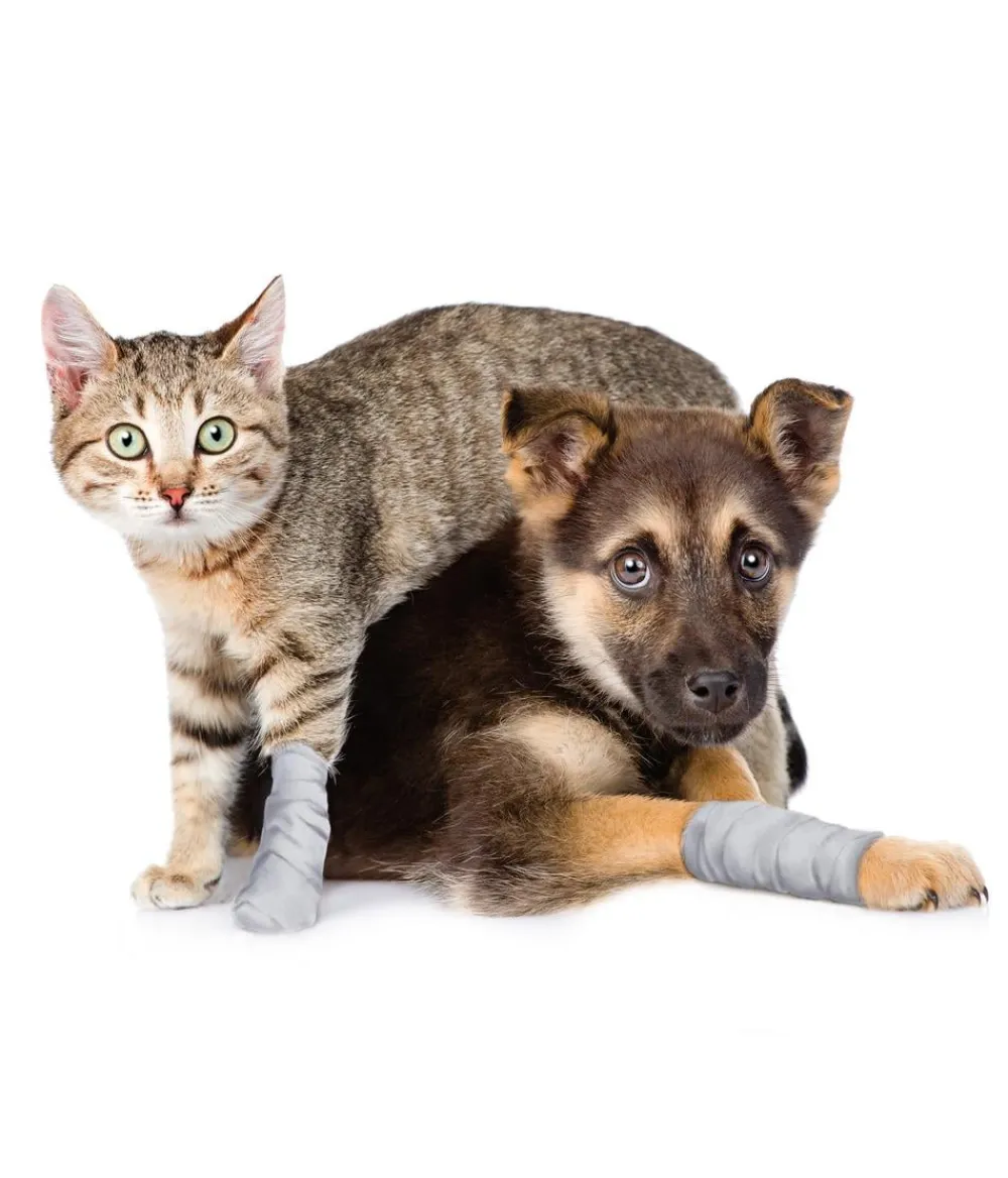 Dehner Lieblinge Wundkompresse für Hunde & Katzen Weiß