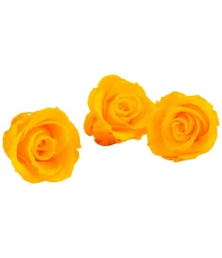 Dehner Bastelbedarf|Konservierte Rosen > Longlife-Rose, ca. Ø3 cm