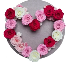 Dehner Longlife-Rose, ca. Ø6 cm Rot Online