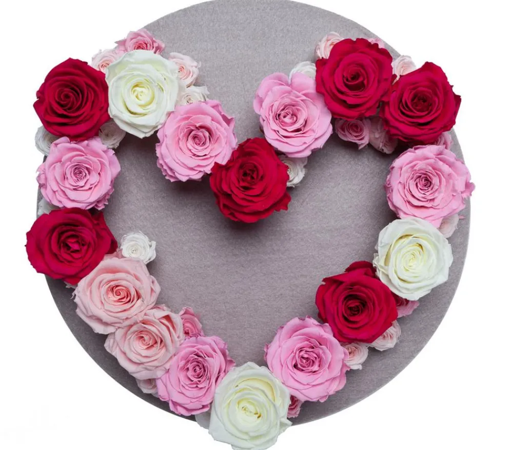 Dehner Longlife-Rose, ca. Ø6 cm Rot Online