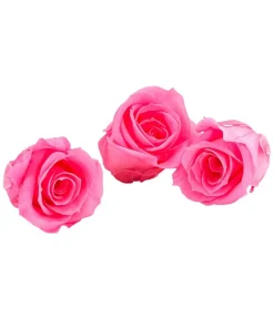 Dehner Bastelbedarf|Konservierte Rosen - Longlife-Rose, ca. Ø3 cm Pink