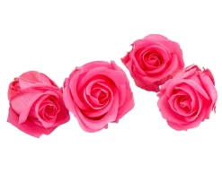 Dehner Konservierte Rosen - Longlife-Rose, ca. Ø2 cm Pink