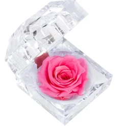 Dehner Konservierte Rosen > Longlife-Rose in Juwelenbox, ca. Ø3,5 cm
