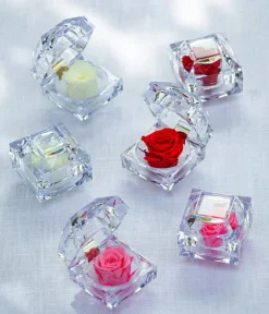 Dehner Konservierte Rosen > Longlife-Rose in Juwelenbox, ca. Ø3,5 cm