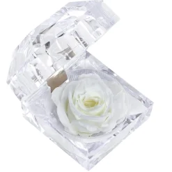 Dehner Konservierte Rosen - Longlife-Rose in Juwelenbox, ca. Ø3,5 cm Weiß