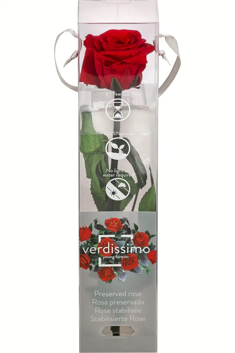 Dehner Longlife-Rose mit Stiel, Rot Sale