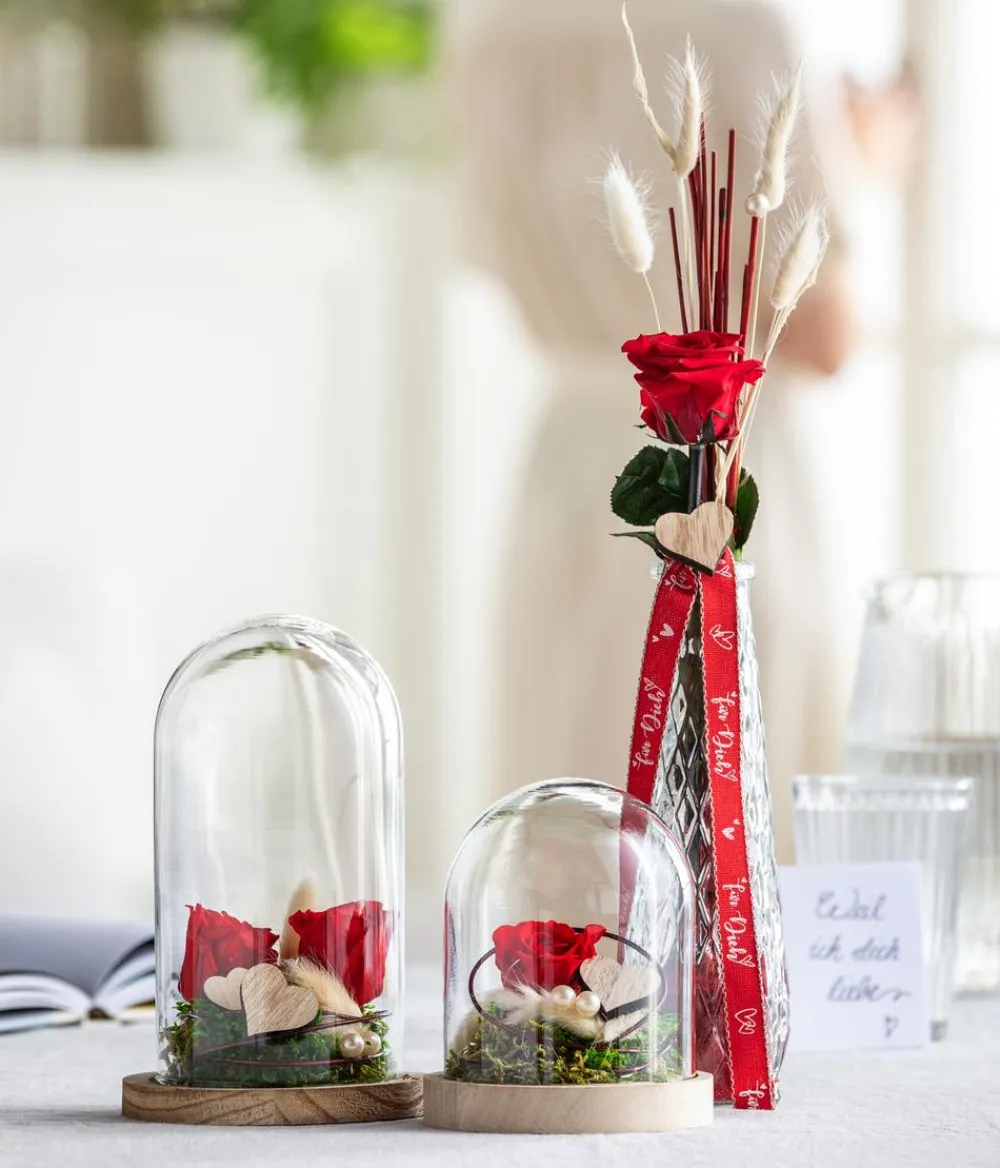 Dehner Longlife-Rose mit Stiel, Rot Sale