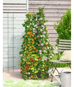 Dehner Rankgitter & Obelisken > Metall-Blumenspalier, 150 cm