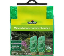 Dehner Mitwachsende Tomatenhaube, 5 Stück Hellgrün Online