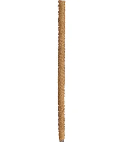 Dehner Mehr Blumentopfzubehör > Moosstab