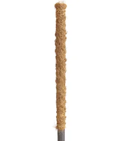 Dehner Moosstab New