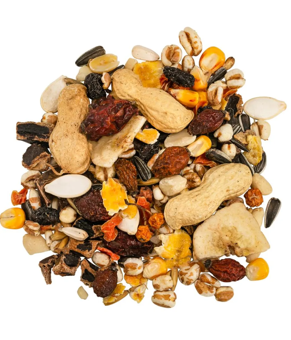 Dehner Natura Premium Eichhörnchenfutter & -Häuser - Eichhörnchenfutter Eichhörnchen-Mix, 600 g