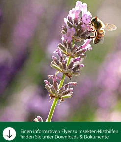 Dehner Natura Premium Insektenhotel Cuneo Sale