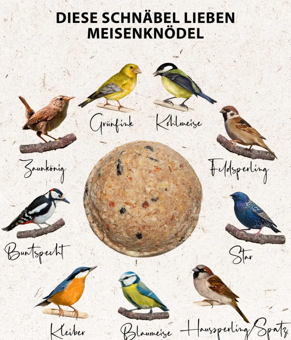 Dehner Natura Premium Meisenknödel-Säule gefüllt New