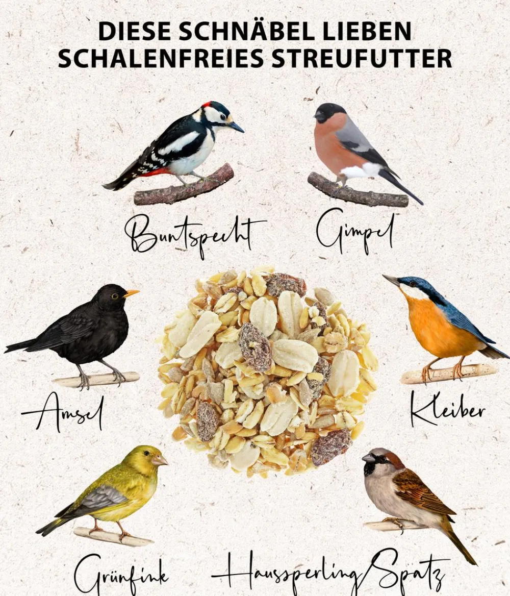 Dehner Natura Premium Wildvogel Streufutter schalenfrei im Eimer, 5 l Outlet