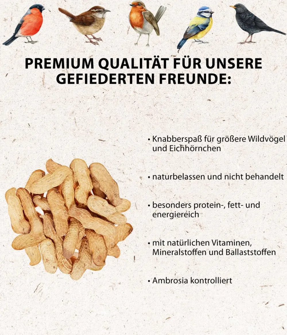 Dehner Natura Premium Wildvogelfutter Erdnüsse in der Schale, 500 g Outlet