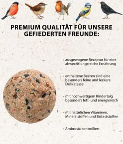 Dehner Natura Premium Wildvogelfutter Beeren-Meisenknödel, mit Netz, 6 Stk. Online