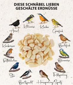 Dehner Natura Premium Wildvogelfutter & Snacks > Wildvogelfutter Halbe/Ganze Erdnüsse