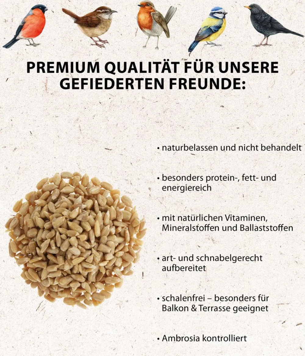 Dehner Natura Premium Wildvogelfutter & Snacks > Wildvogelfutter Geschälte Sonnenblumenkerne