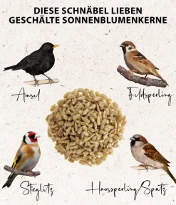 Dehner Natura Premium Wildvogelfutter & Snacks > Wildvogelfutter Geschälte Sonnenblumenkerne