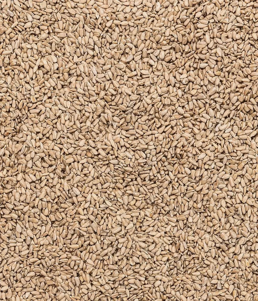 Dehner Natura Premium Wildvogelfutter & Snacks > Wildvogelfutter Geschälte Sonnenblumenkerne
