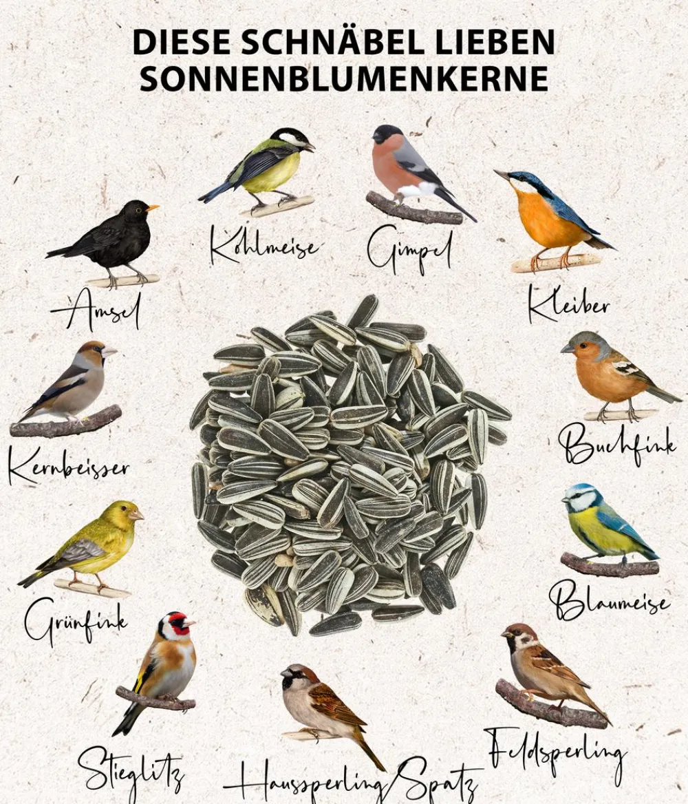 Dehner Natura Premium Wildvogelfutter & Snacks > Wildvogelfutter Sonnenblumenkerne