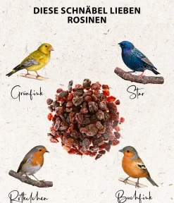 Dehner Natura Premium Wildvogelfutter & Snacks > Wildvogelfutter Rosinen
