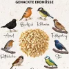 Dehner Natura Premium Wildvogelfutter & Snacks > Wildvogelfutter Gourmet Blocks mit Mehlwürmern, 6 Stk á ca. 90 g