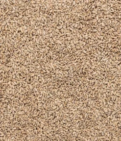 Dehner Natura Premium Wildvogelfutter & Snacks > Wildvogel Kokosnuss mit Fettfuttermischung