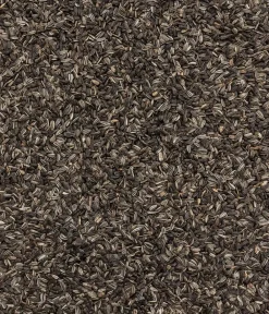Dehner Natura Premium Wildvogelfutter & Snacks > Wildvogelfutter Pinienzapfen