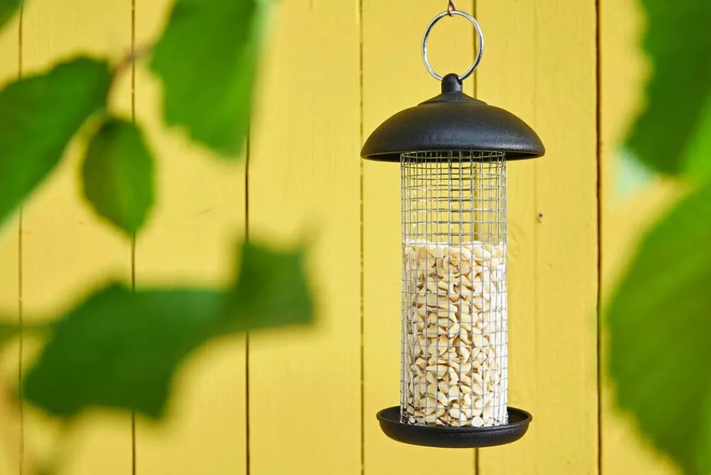 Dehner Natura Premium Wildvogelfutter Gehackte Erdnüsse im Eimer, 5 l New