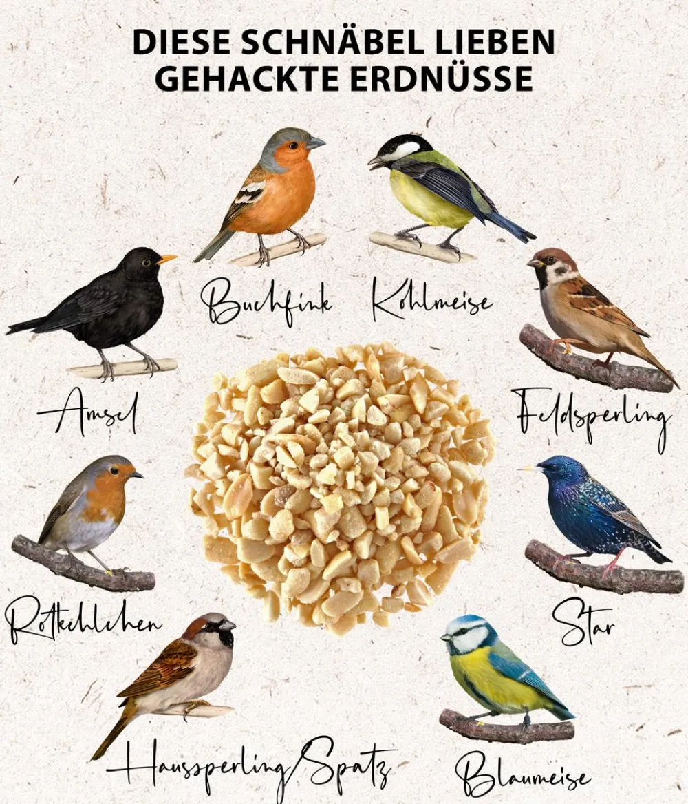 Dehner Natura Premium Wildvogelfutter Gehackte Erdnüsse im Eimer, 5 l New
