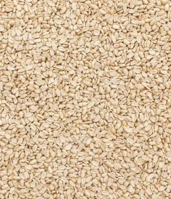 Dehner Natura Premium Wildvogelfutter Halbe/Ganze Erdnüsse, 5 l Online